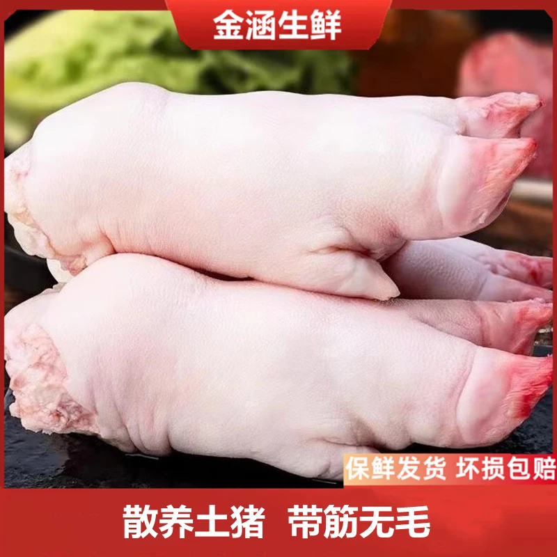 新鲜猪蹄子十只散养带筋土猪脚前后蹄生猪手四只红烧烤卤冷冻批发