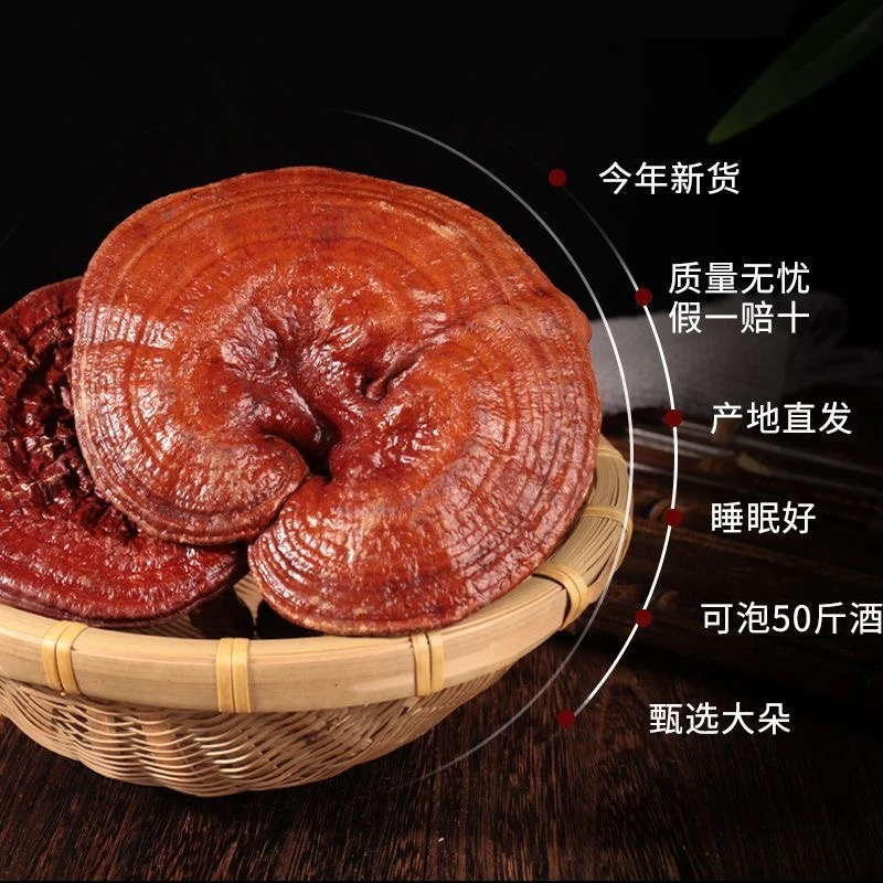 【本帅专属】长白山有机赤灵芝农残药残检测合格产品到手一斤