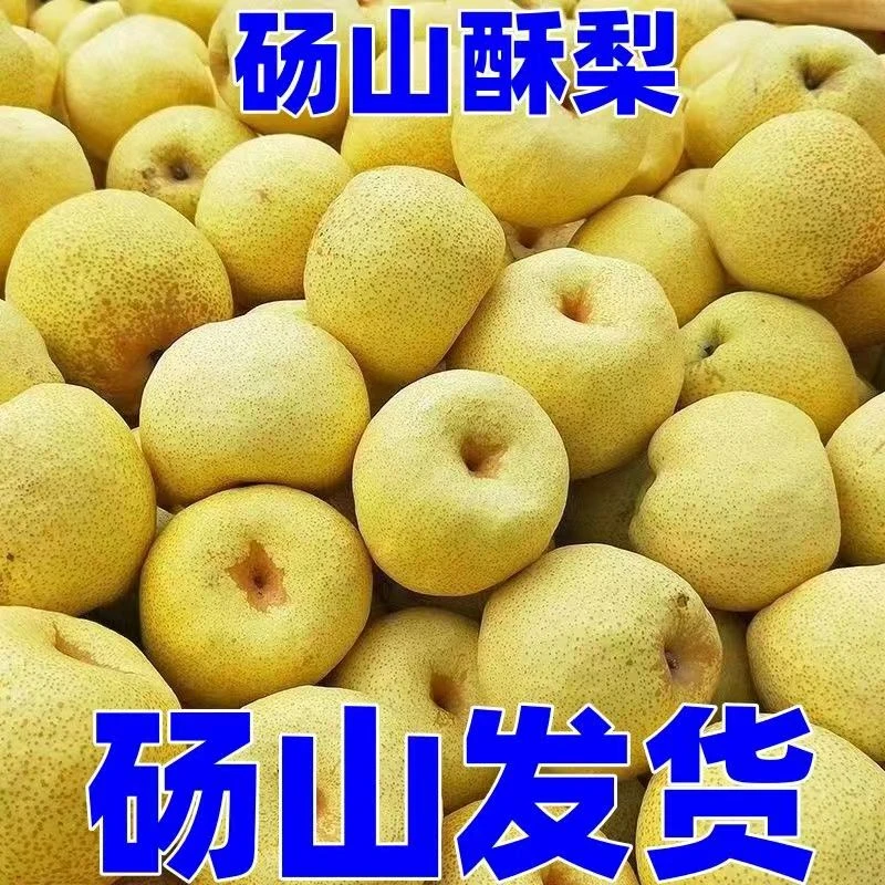 【原产地】正宗砀山酥梨新鲜水果整箱装现摘现发爆甜多汁梨子批发