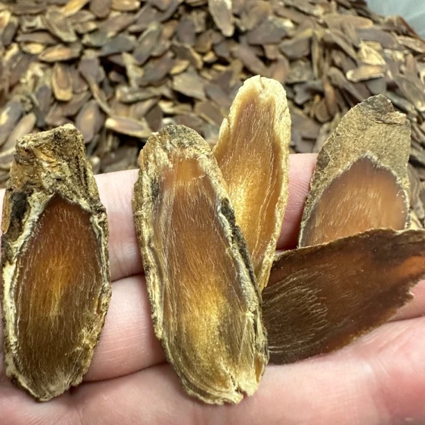 【碗糕讲人参】高丽（参味溶）大片