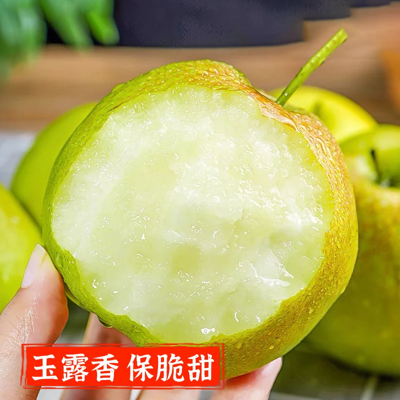 【正宗山西玉露香梨】产地直发皮薄细腻化渣酥脆新鲜水果脆甜多汁