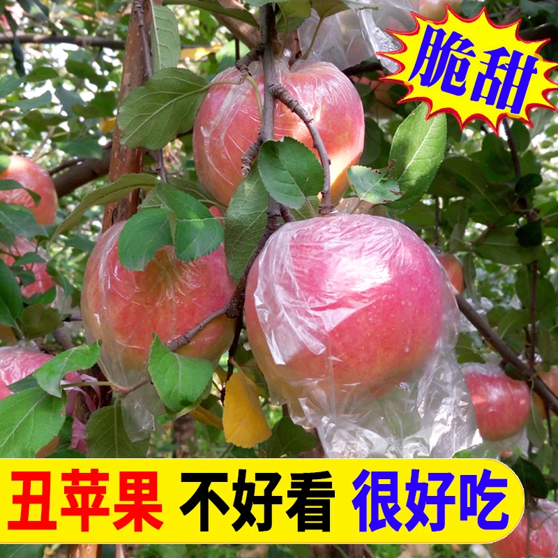 2块多1斤丑苹果新鲜红富士脆甜多汁应季整箱水果冰糖心5/9斤1114