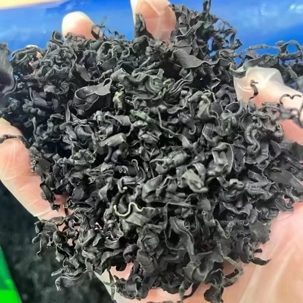 裙带菜，嫩叶菜，无沙，食用方便