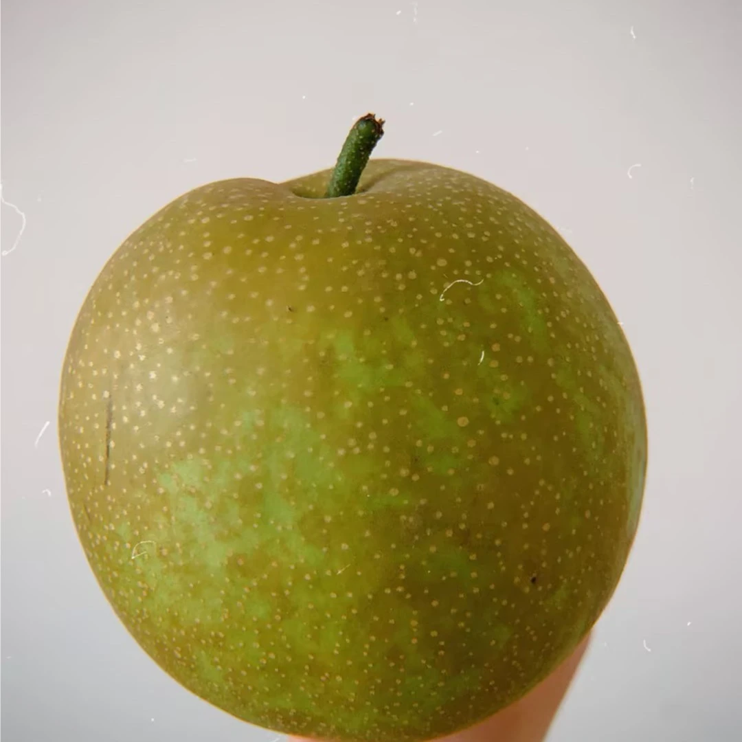 【700g-800g，新鲜上市】翠冠梨，翠冠梨脆甜新鲜水果核小肉细多汁翠冠梨个大饱满82梨