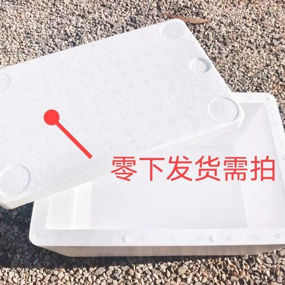 多肉保温箱0-零下10度拍