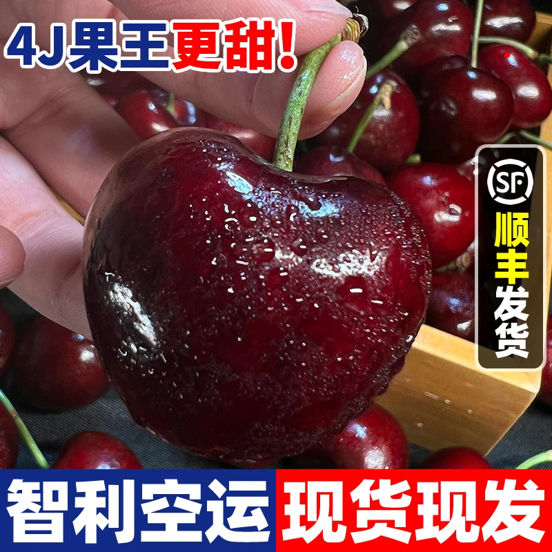 新【顺丰空运】智利进口车厘子J-4J新鲜孕妇水果当季整箱1-5斤
