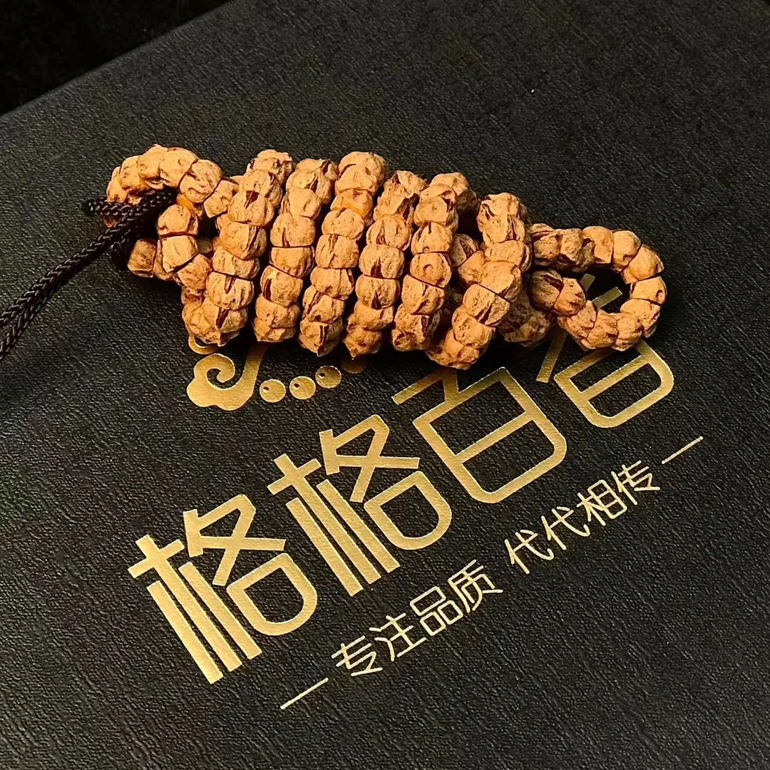 热振百香籽#红芽鬼脸大肠#尺寸6.5左右#颗数180颗左右#红皮红肉