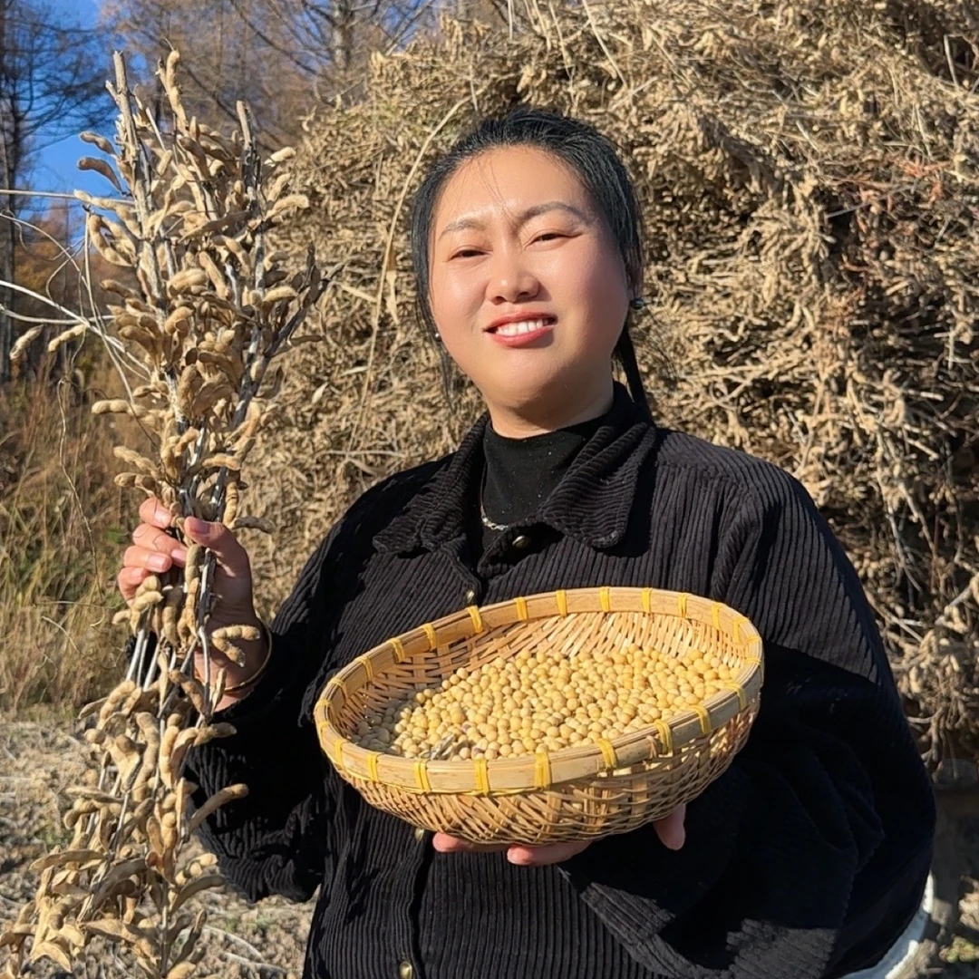 东北黄豆非转基因打豆浆专用高蛋白豆2025年新大豆黑土地优选