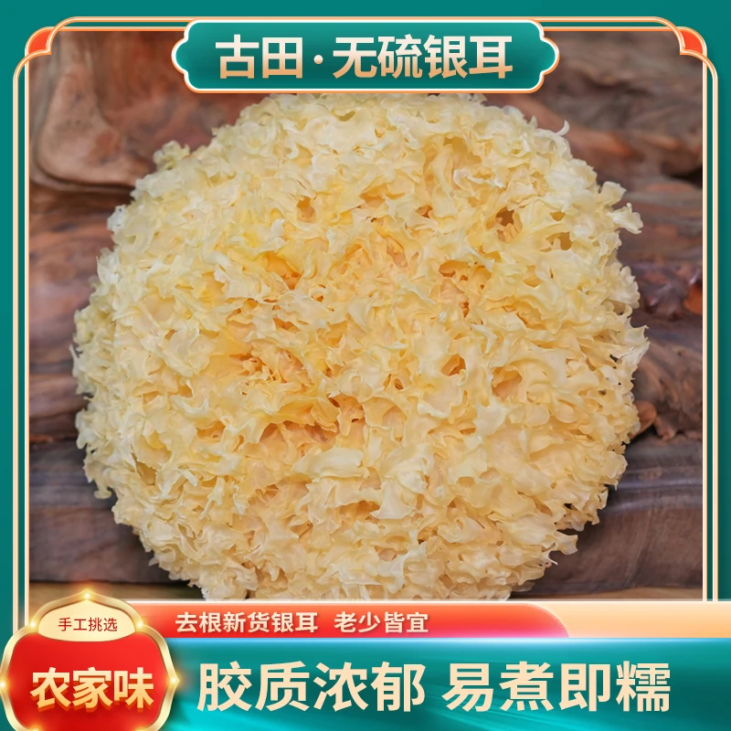 福建古田本色银耳新鲜清香炖煮食用精选挑选银耳采摘