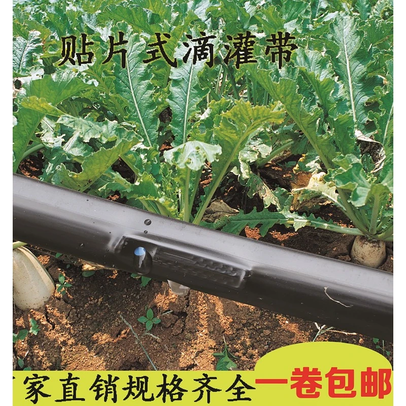 农用4分贴片式滴管带 水带 双孔 单孔的及无孔滴管灌溉水带