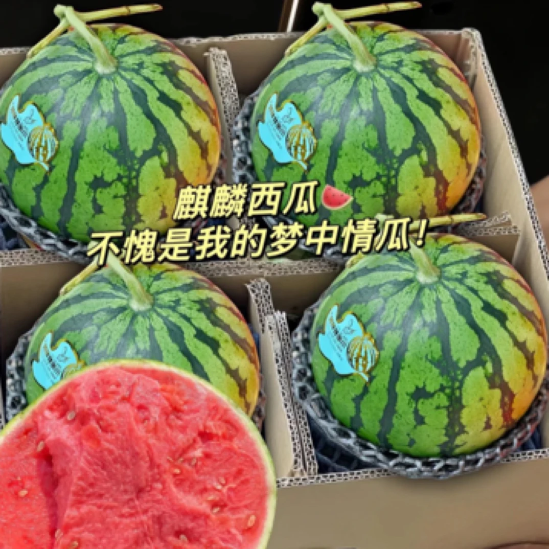 麒麟西瓜一颗13斤左右