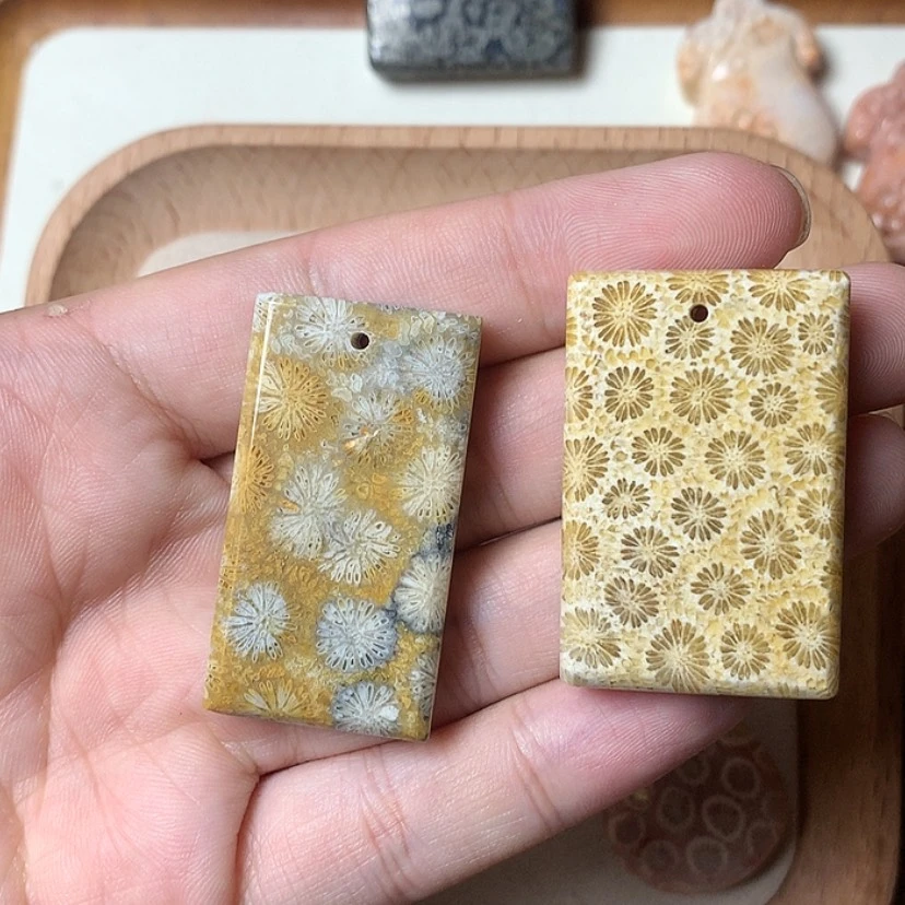 【闪购商品】硅化珊瑚（珊瑚玉）颈饰未镶嵌轻*点