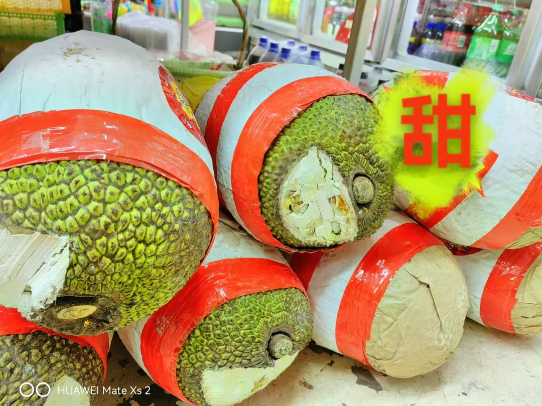 越南进口菠萝蜜A级大果 单个约重13.5斤 大出肉甜