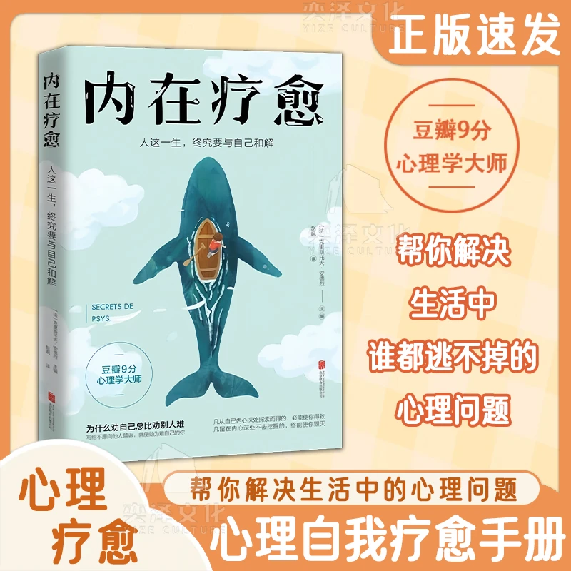 内在疗愈 解决谁都逃不掉的心理问题人这一生，终究要与自己和解GG