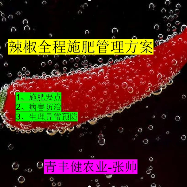 辣椒全程施肥管理要点指导（病害防治，施肥技巧，生长异常分析）