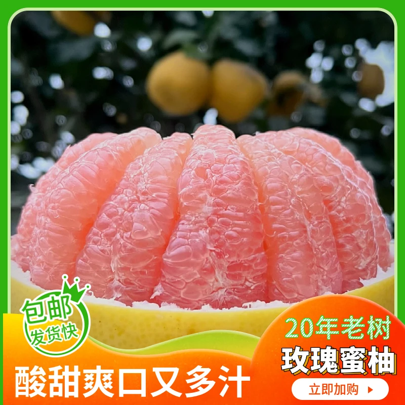 玫瑰蜜柚新鲜现摘粉红心蜜柚重庆产地当季水果柚子酸甜多汁皮薄