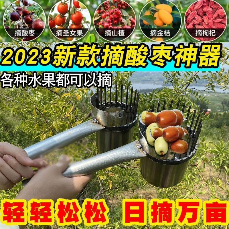 加厚2024新款酸枣不锈钢摘果器采果山枣柏树神器小枣工具扎手摘枣