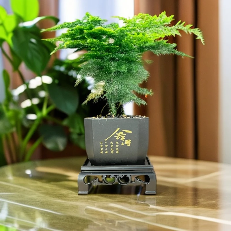 文竹树脂舍得盆绿植盆景盆栽室内客厅四季常青好养净化空气吸甲醛