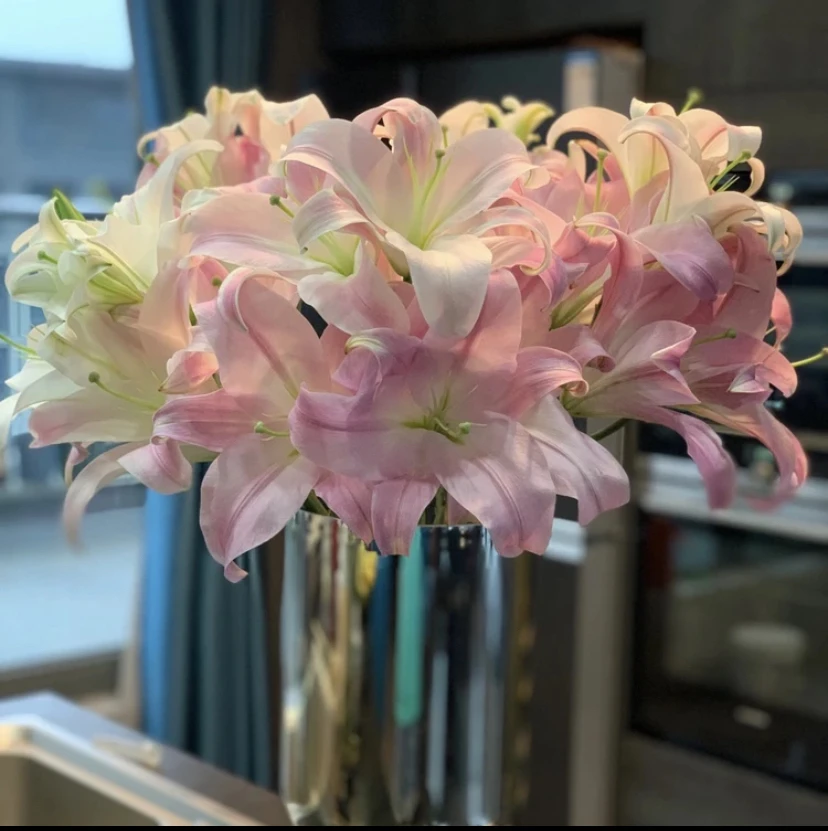 【圆舞曲】香水百合东北鲜花基地直发货顺丰包邮办公室点缀鲜花
