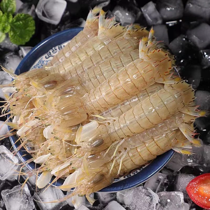 皮皮虾三斤 不包活  厦门海鲜配送 现称