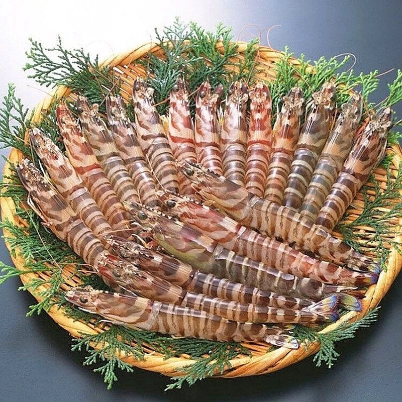 斑节虾 厦门海鲜配送 顺丰 现称1500g