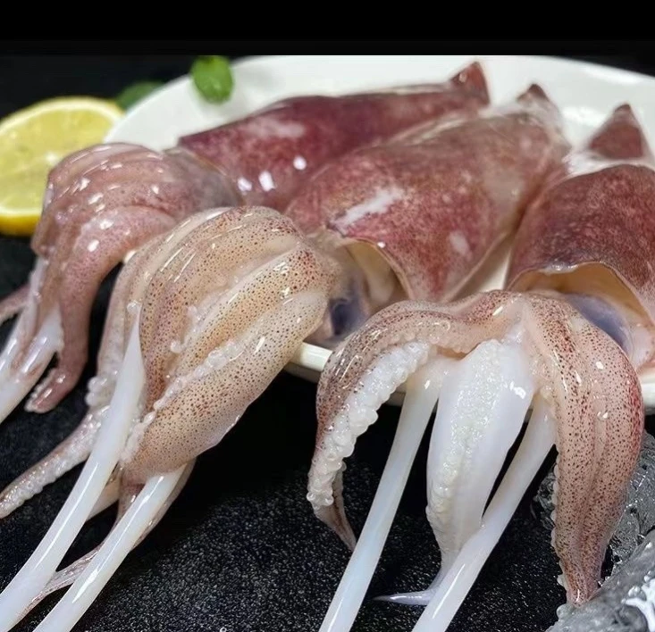 一口管5斤 厦门海鲜配送 2500g