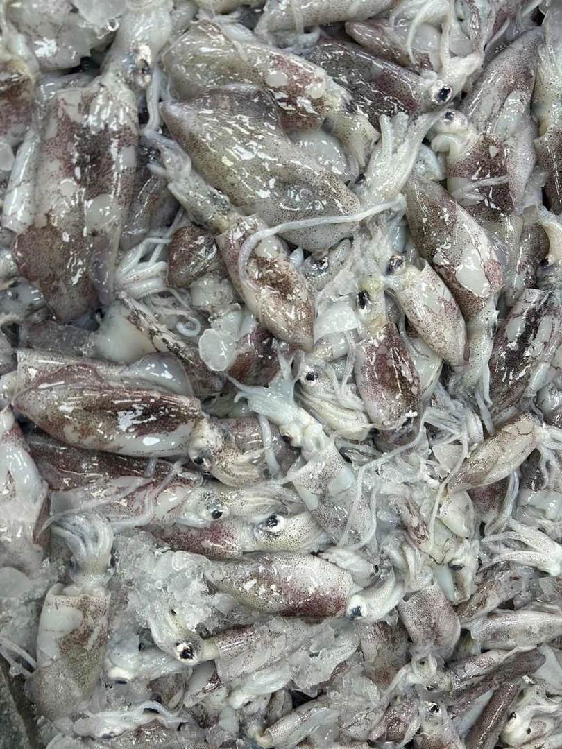 黑管拖网鱿鱼 厦门海鲜配送 顺丰 现称2500g