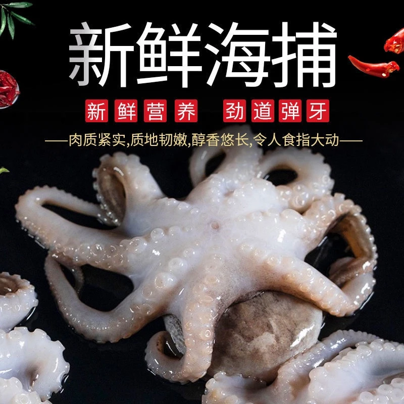 八爪鱼 厦门海鲜配送 顺丰 现称1500g