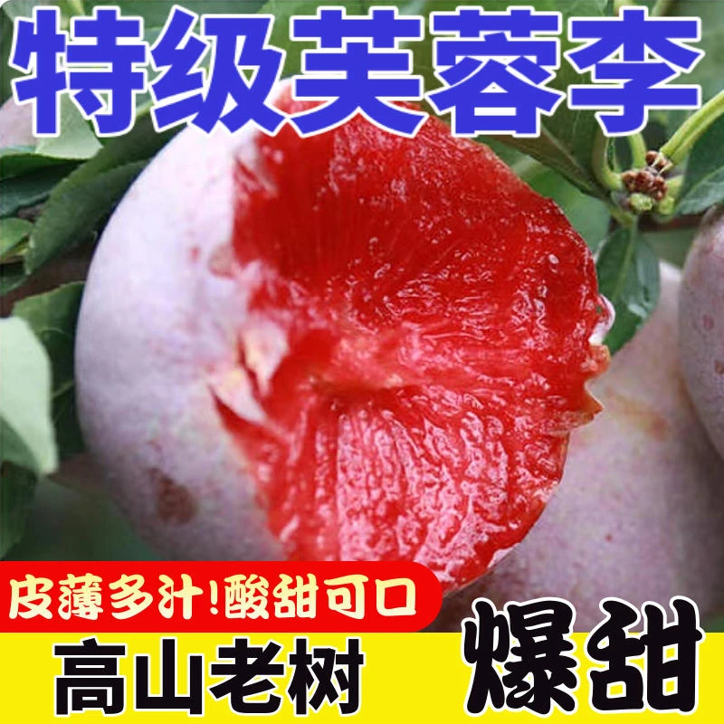 新鲜芙蓉李顺丰包邮三华李3/5/10斤礼盒装红心李当季孕妇好吃