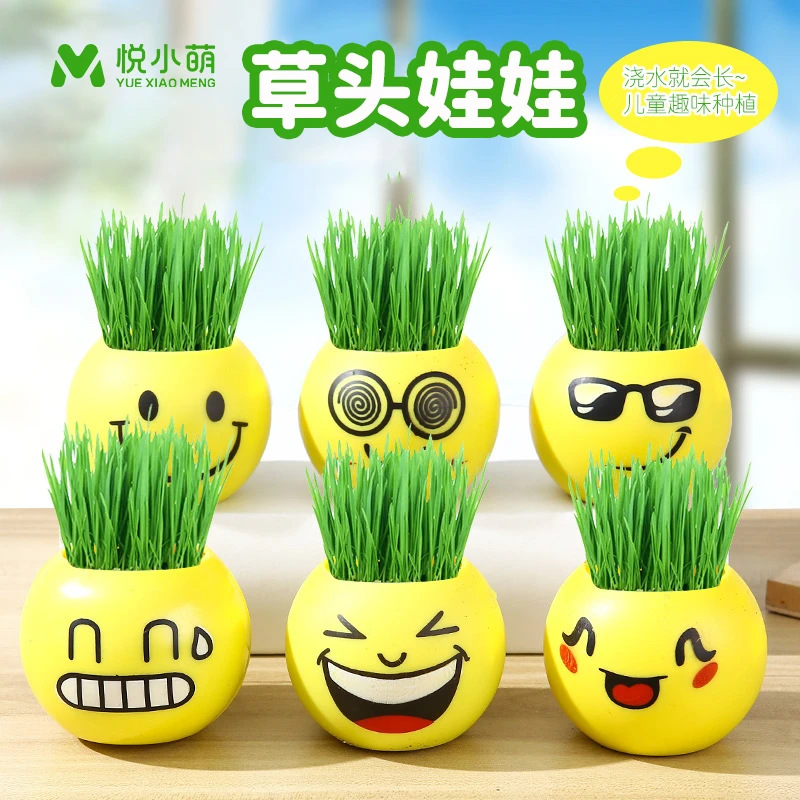 草头娃娃儿童种植小盆栽头上长草娃娃幼儿园炫酷植物生长观察盒