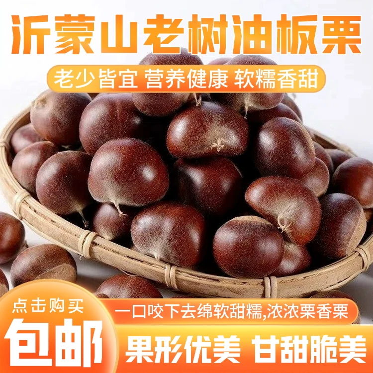 甜糯新鲜板栗现剥现卖产地直发2024农家现摘现发【正宗蒙山油板栗】