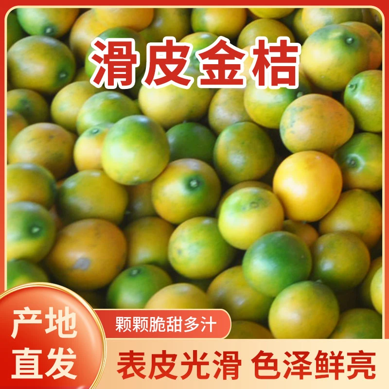 广西融安滑皮金桔不涩纯甜 爆汁应季水果脆甜爽口冰糖滑皮金桔