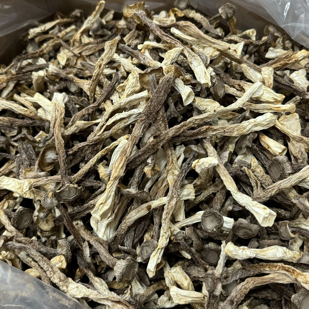 鹿茸菇 精品优质鹿茸菌 干货