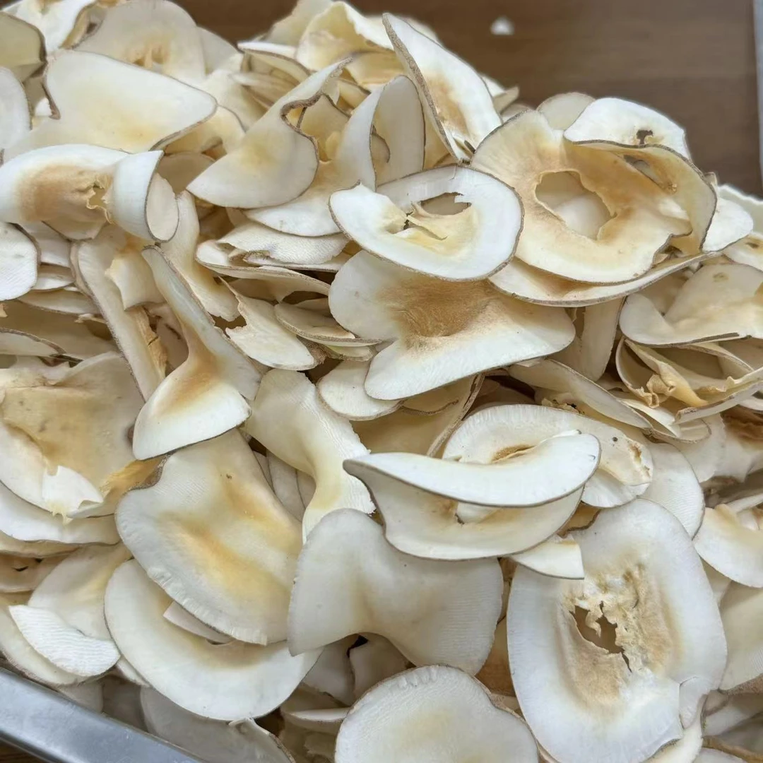海底椰 原色原切 无硫熏 干货