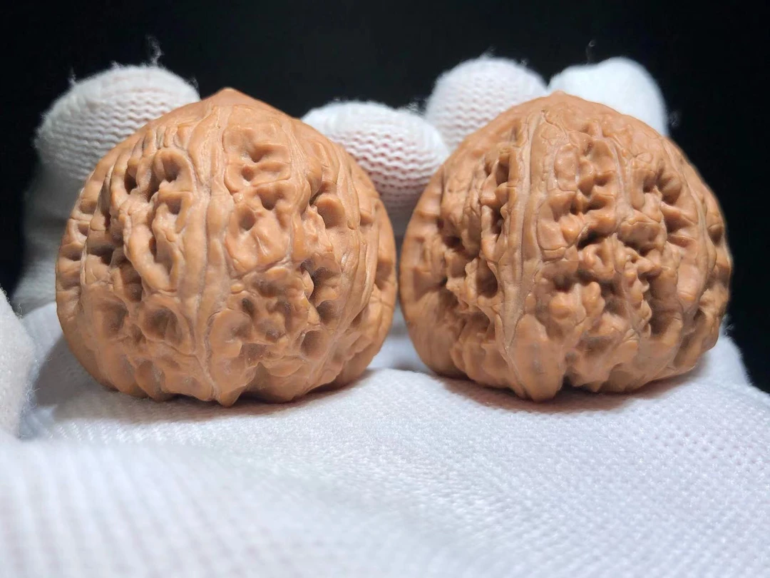 文玩核桃骨质皮质密度好