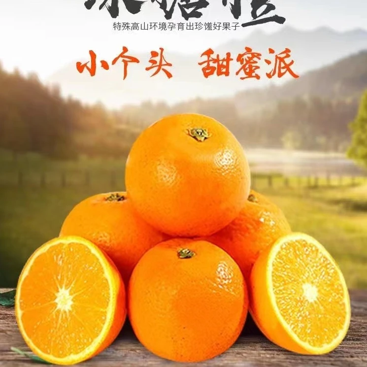 【坏果包赔】湖南冰糖橙迷你甜橙产地直采发货皮薄多汁