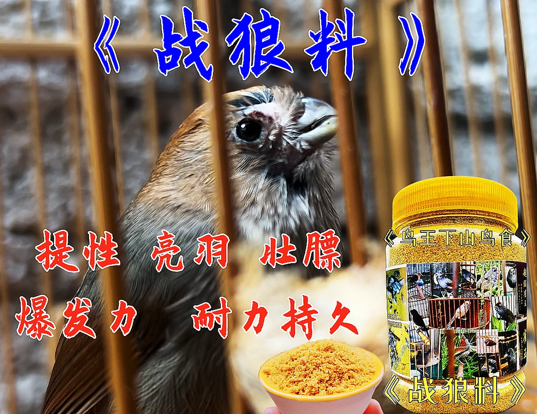 黄豆鸟食《战狼料》提性收身长腰亮羽打斗原色原味原生态