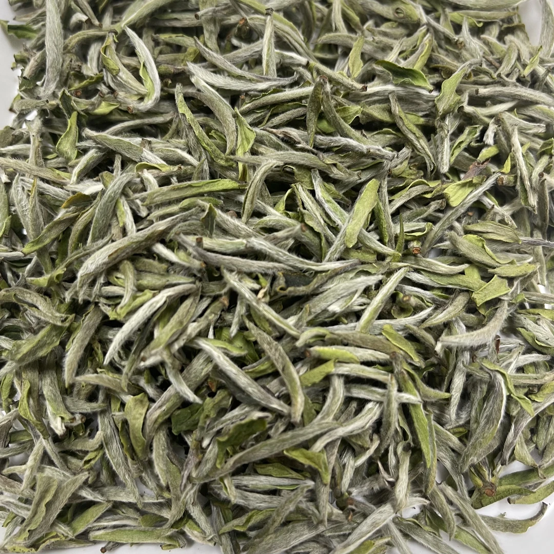 2024年黄岗一号老树白毫银针散茶