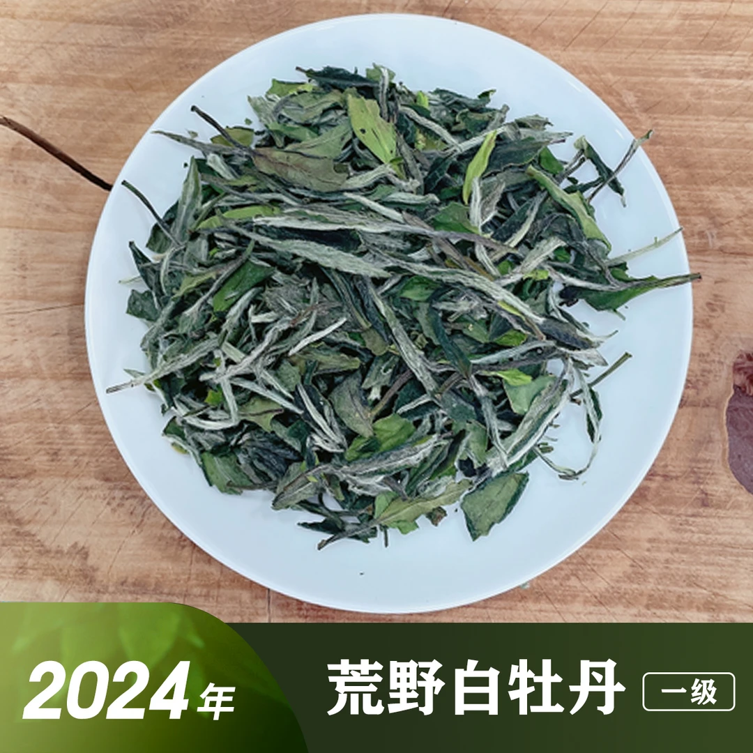 （新粉福利）2024年荒山老树一级白牡丹