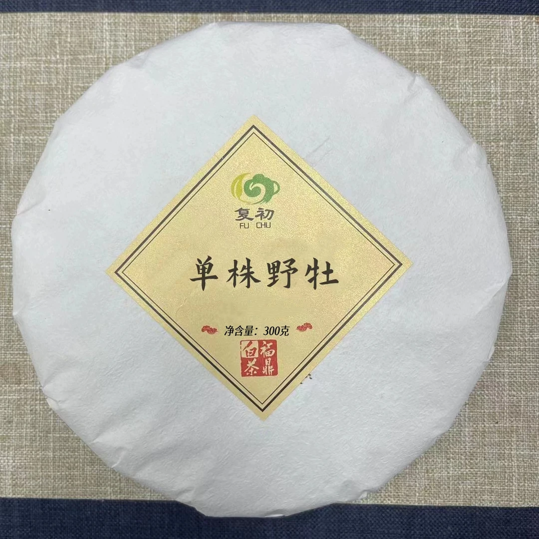 2024年单株野牡丹饼