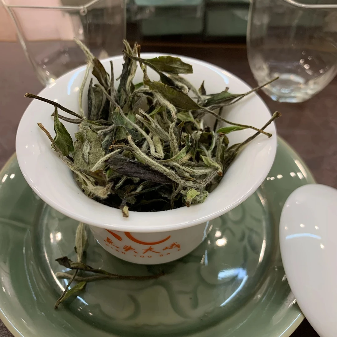 直播间同价（制茶人蔡佳亮）2024年荒野老枞一级白牡丹