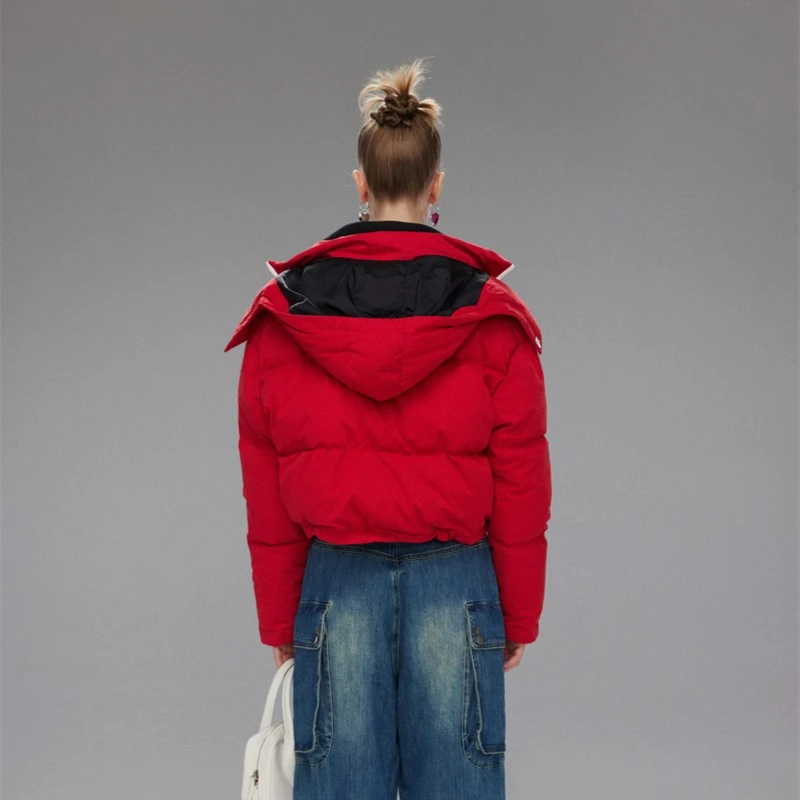 ZZFY STUDIO 假两件双层领羽绒服 23YRF425637R