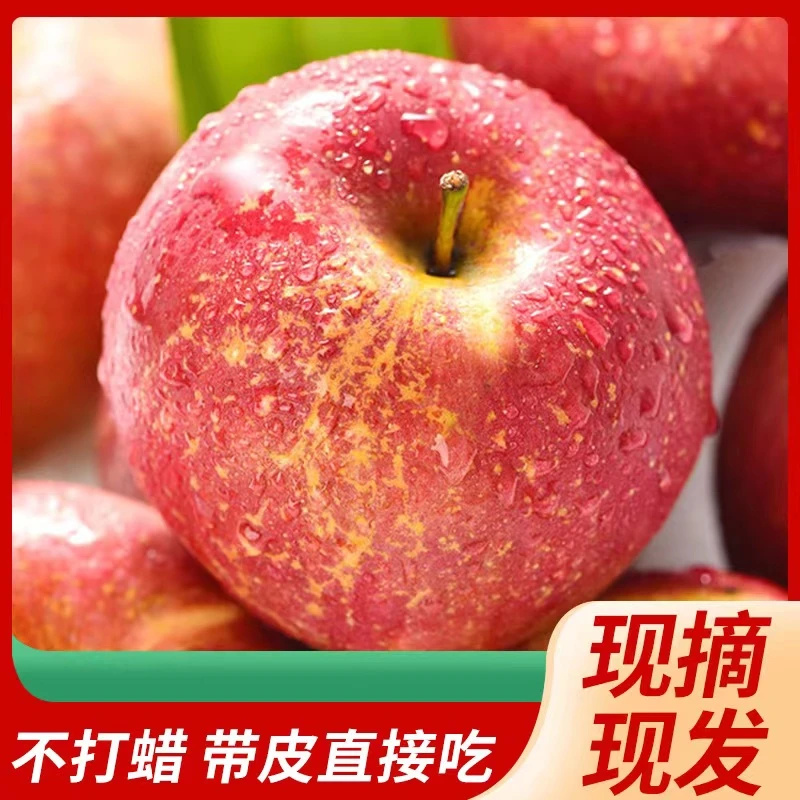【现摘现发】大凉山盐源高原丑苹果糖心甜脆新鲜采摘5斤/8斤
