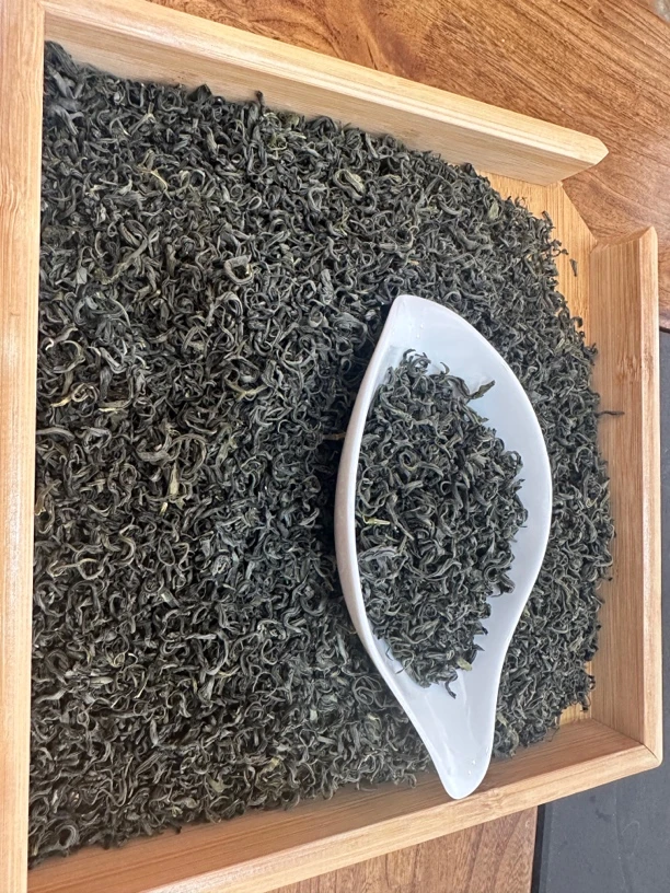 2025新茶浙江高山绿茶 浓香型