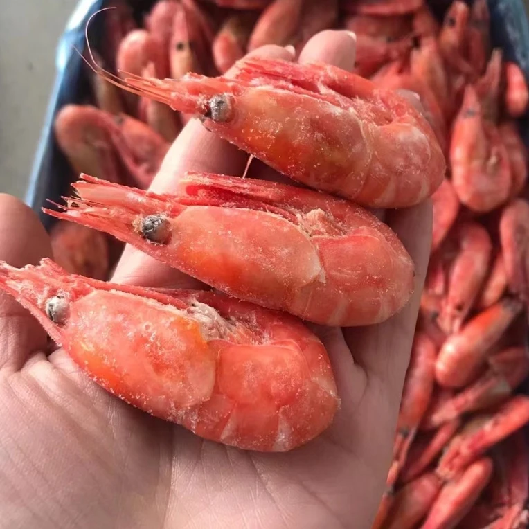 【海豚专属】北极熊 大个头籽 北极甜虾 80-100规格1.5kg/盒 熟冻