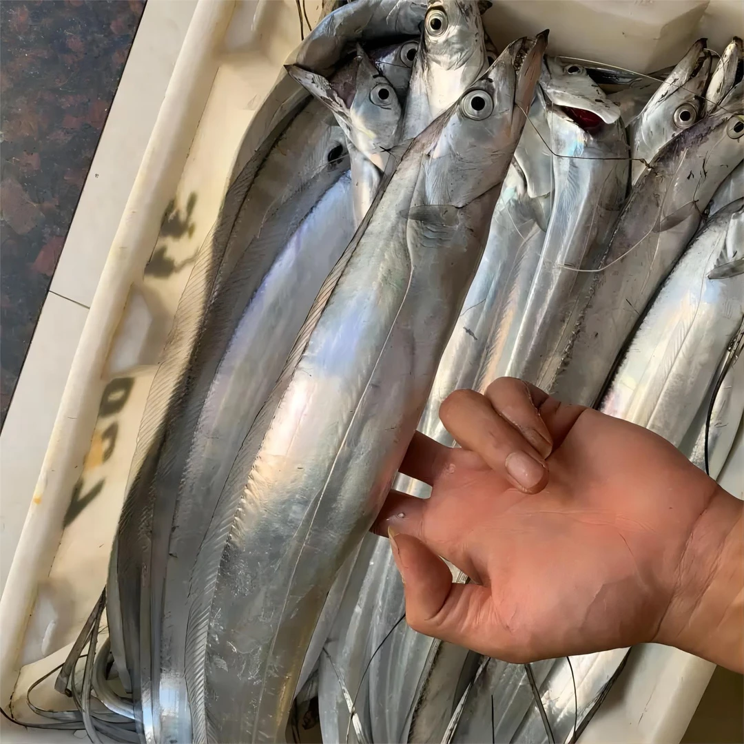 【海豚推荐】  老鹰带 整条带鱼 5-7条/5斤装 新鲜速冻 油带鱼 速冻