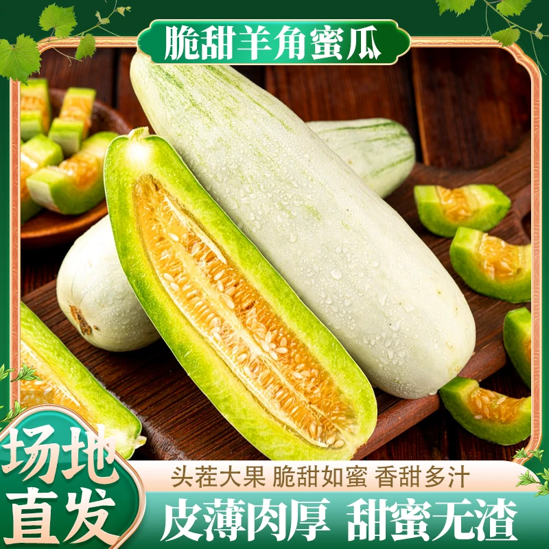 山东羊角蜜高山果园现摘现发当季脆蜜新鲜饱满多汁商超品质精品果