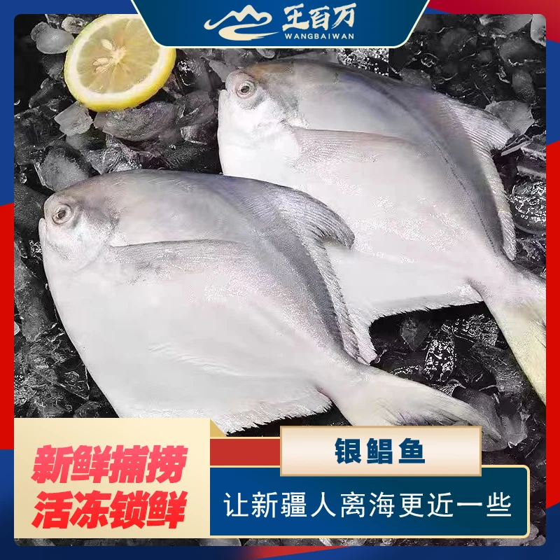 【王百万海鲜】银鲳鱼2公斤/袋只发新疆