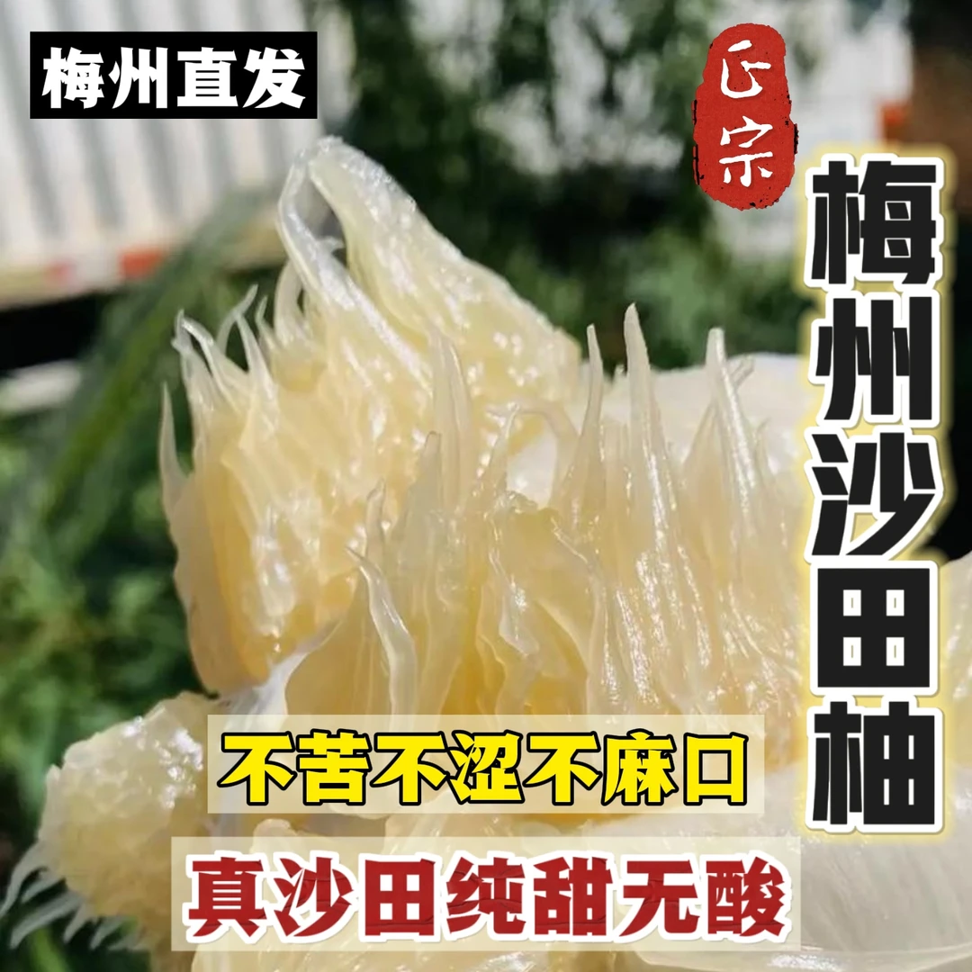 【纯甜无酸】正宗梅州金柚梅州沙田柚批发30年高山老树果原产地直发