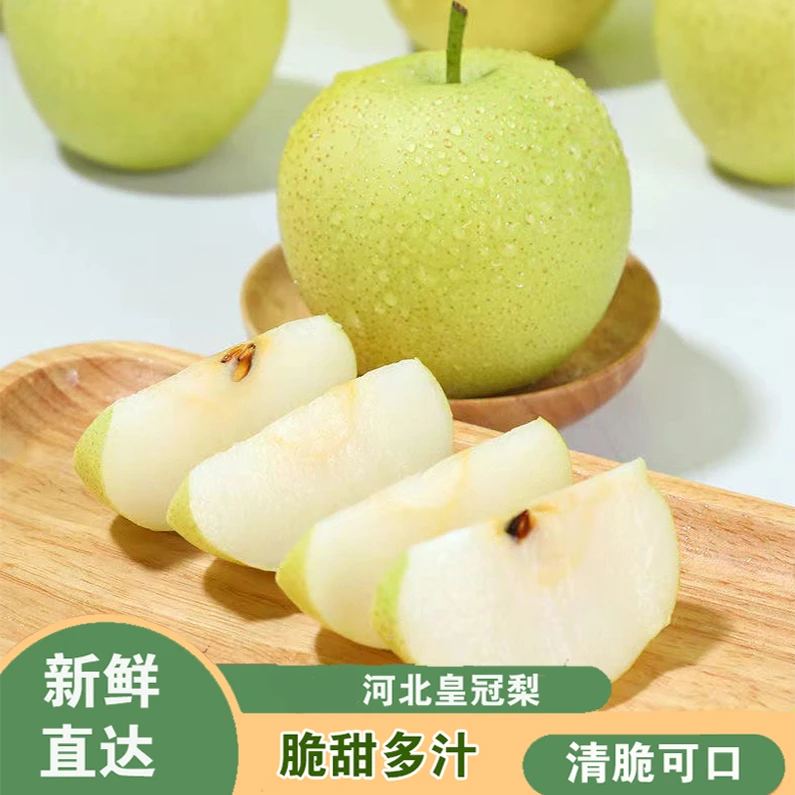 河北皇冠梨359斤包邮新鲜脆甜多汁